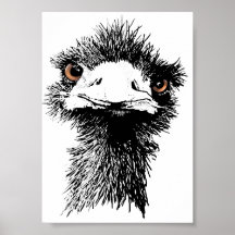 Émeu Posters