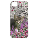 Emma in Flowers I – Little Grey Tabby Kitten Case For The iPhone 5