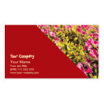 Empadadas Lakes, Azores Business Cards