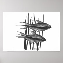 Empereur tétra GWN Posters