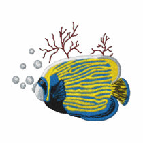 Emperor Angelfish
