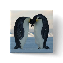 Emperor Penguin Courtship Pins