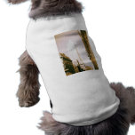 Empire State Building, New York City Pet Clothing