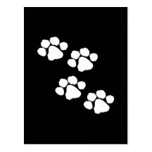 Empreintes de pattes animaux cartes postales