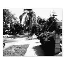 Empty Street Photo Art