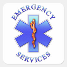EMS SQUARE STICKER