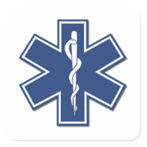 EMS Star of Life Sticker