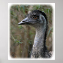 Emu 9Y209D-200 Posters
