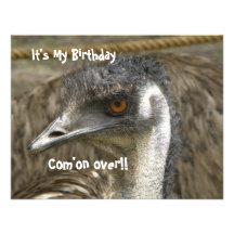 Emu Birthday Party Custom Invitations