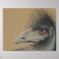 Emu Original Painting Print