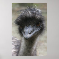 Emu Print