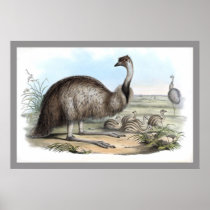 Emu Print