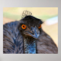 Emu Posters