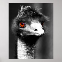 Emu Poster