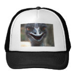Emu saying HI! Open beak big brown eyes picture Hats