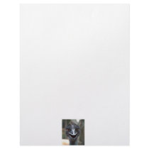 Emu saying HI! Open beak big brown eyes picture Custom Letterhead