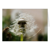 EN003 GREETING CARD