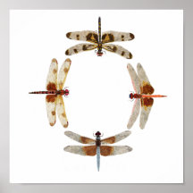 En cercle de synchronisation d'affiche d'art de li
