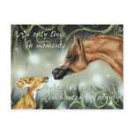 Enchanted by beauty post cards