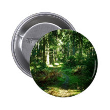 enchanted forest pin