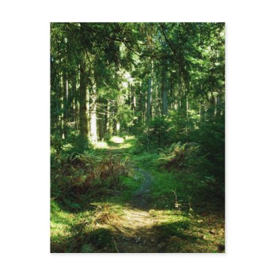 enchanted forest postcard by Eyefish