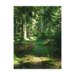 enchanted forest postcard