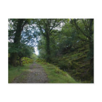 Enchanted Forest Postcards