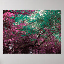Enchanted Forest Posters