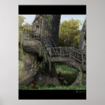Enchanted Forest Posters