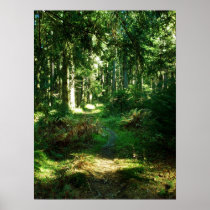 enchanted forest posters