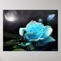 enchanted nights full colour