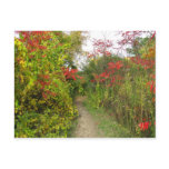 Enchanted Path Post Card