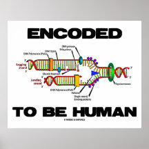 Encoded To Be Human (DNA Replication) Posters