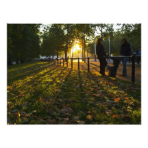End of the day photograph