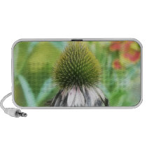End Of The Season - Coneflower Close Up Laptop Speaker