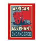 Endangered African Elephant Pop Art Tshirts Postcard
