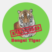 Endangered Bengal Tiger  Products Stickers