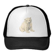 Endangered Polar Bear hats