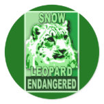 Endangered Snow Leopard Pop Art Tshirts Stickers