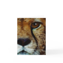 ENDANGERED SPECIES CHEETAH Greeting Card