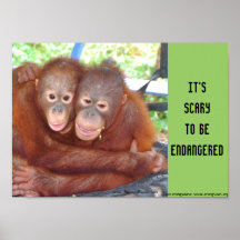 Endangered Wildlife Baby Hugs Posters