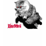 Endcat t-shirts