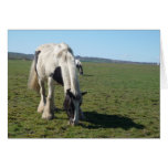 Endless Grazing Horse Greeting Card cards