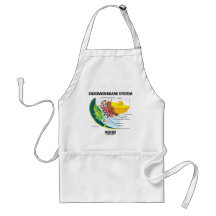 Endomembrane System Inside Apron