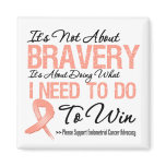 Endometrial Cancer Battle Magnets