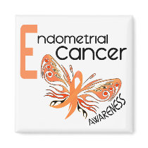 Endometrial Cancer BUTTERFLY 3.1