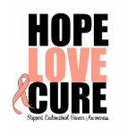 Endometrial Cancer Hope Love Cure t-shirts