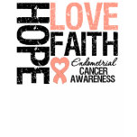 Endometrial Cancer Hope Love Faith t-shirts