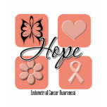 Endometrial Cancer Hope Love Inspire Awareness t-shirts
