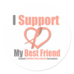 Endometrial Cancer I Support My Best Friend stickers